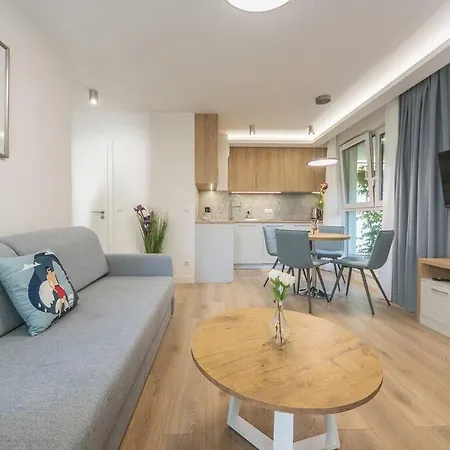 Na Klifie W Wladyslawowie Chlapowie